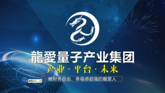 龙爱量子集团简介