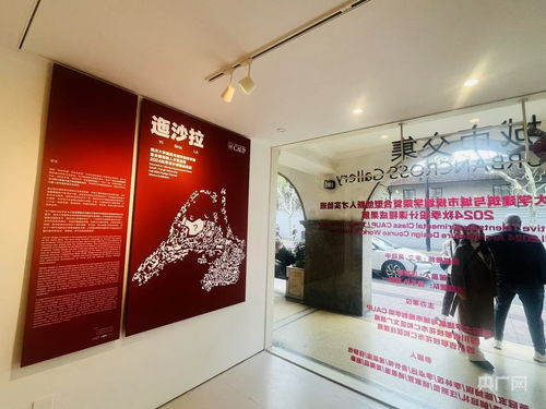 天下彝家第一村 秀 美上海滩 央广网